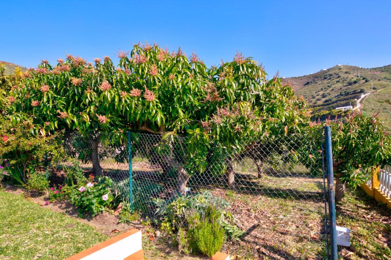 Villa Grillo Torrox Εξωτερικό φωτογραφία